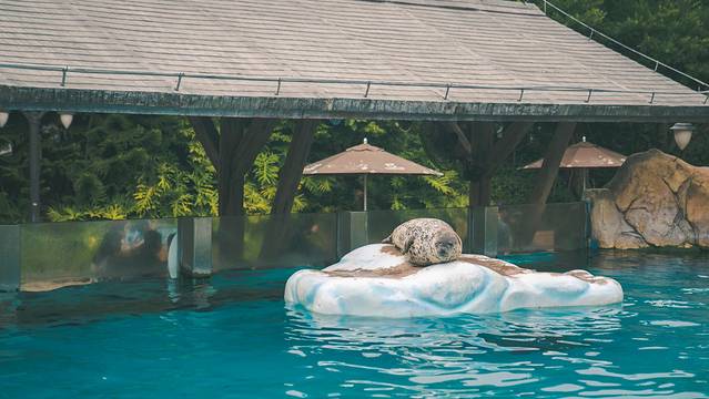 珠海长隆海洋王国海底夜宿,珠海长隆海洋王国鲸鲨馆海底区