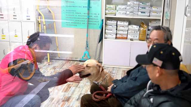 宠物也有专车司机了？一人一车，一年搭载6000多位宠物乘客