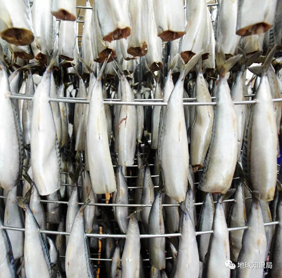 沿海人民是如何喂饱中国的？