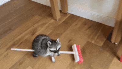 过年大扫除家家必备的清洁小技巧,过年家里大扫除攻略