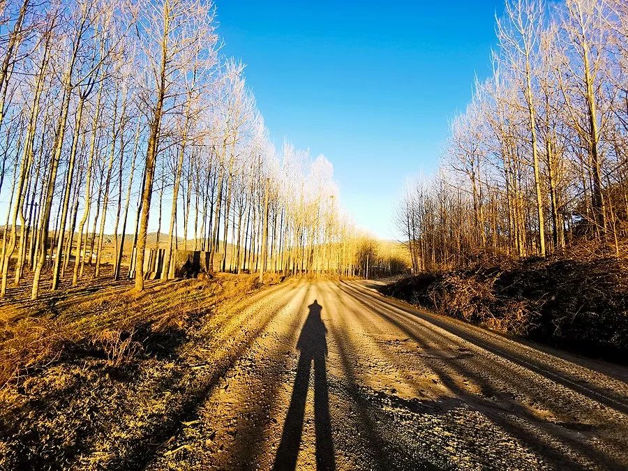 天涯咫尺，如见故人|2019小林摄影总结