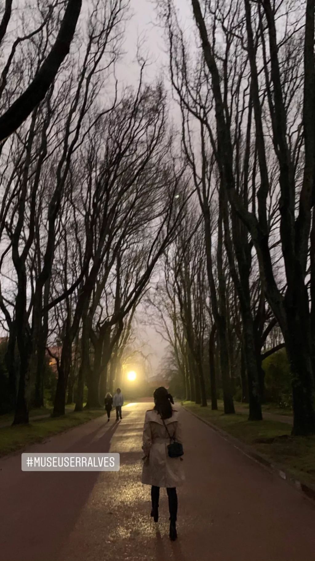 宋慧乔离婚后的状态,宋慧乔离婚后旅游