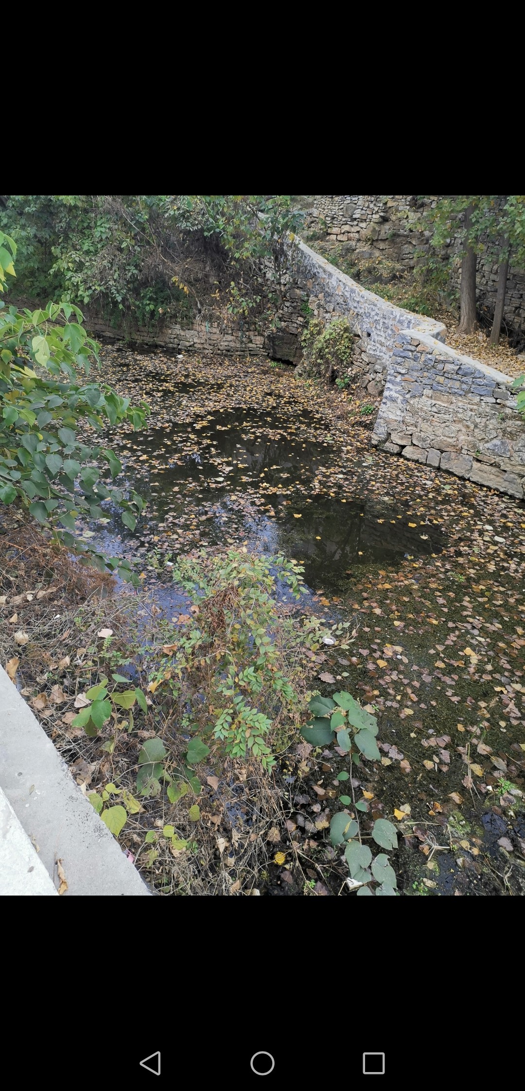 钓鱼十大注意事项,钓鱼需要注意的21要点