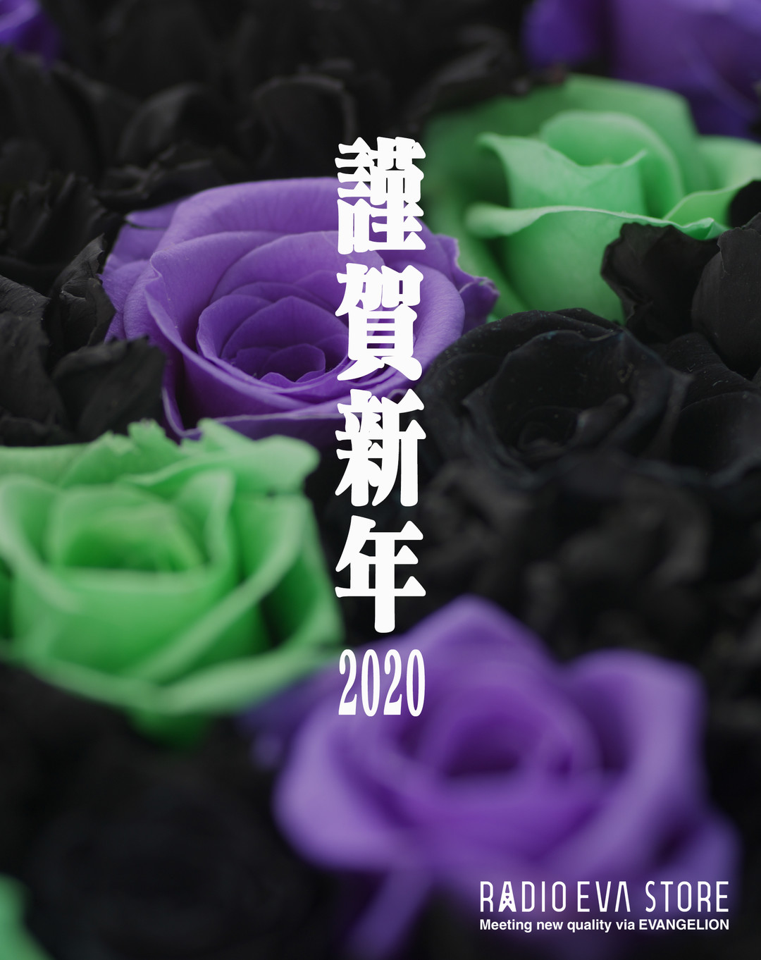 图多杀猫！2020年官方新年贺图集。续-Anitama的新年问候