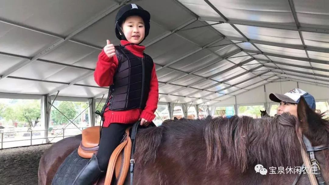 柳城周边游玩景点推荐,柳北旅游推荐