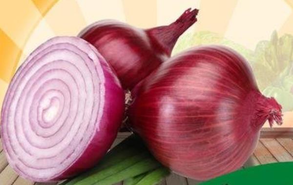 閲戜埂鍗滈泦鍦嗚懕琛屾儏,閲戜埂鍗滈泦鍦嗚懕