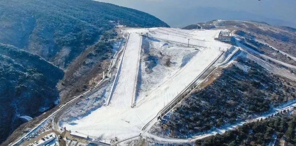 洛阳旅游年票一日游路线规划,洛阳旅游有优惠活动吗