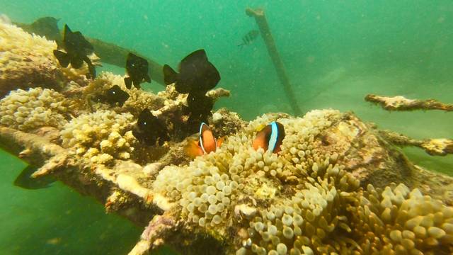 巴厘岛旅游自由行详细攻略,巴厘岛旅行攻略自由行路线图大全