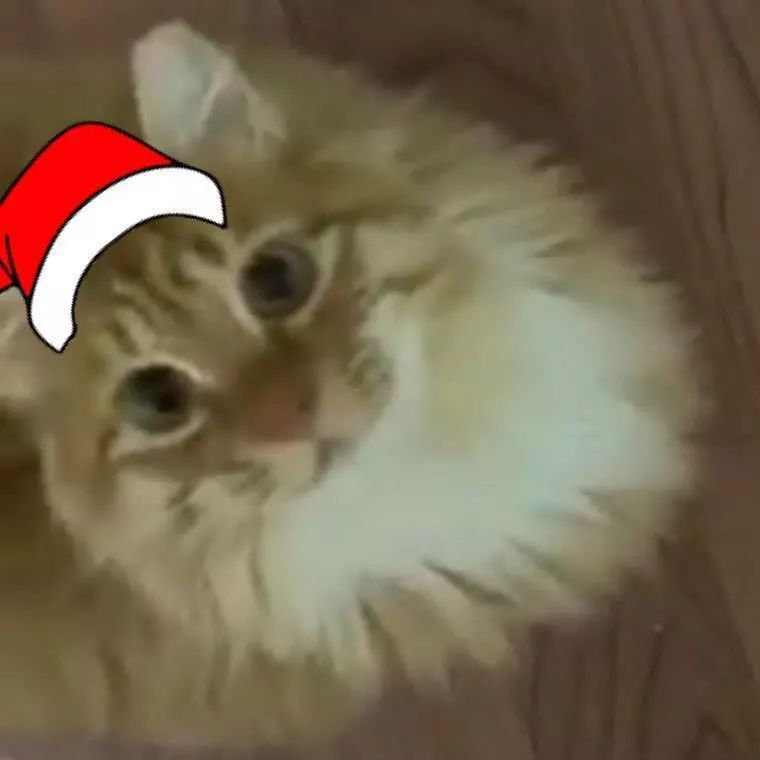 凡茜油画工作室中奖名单公布！有你吗