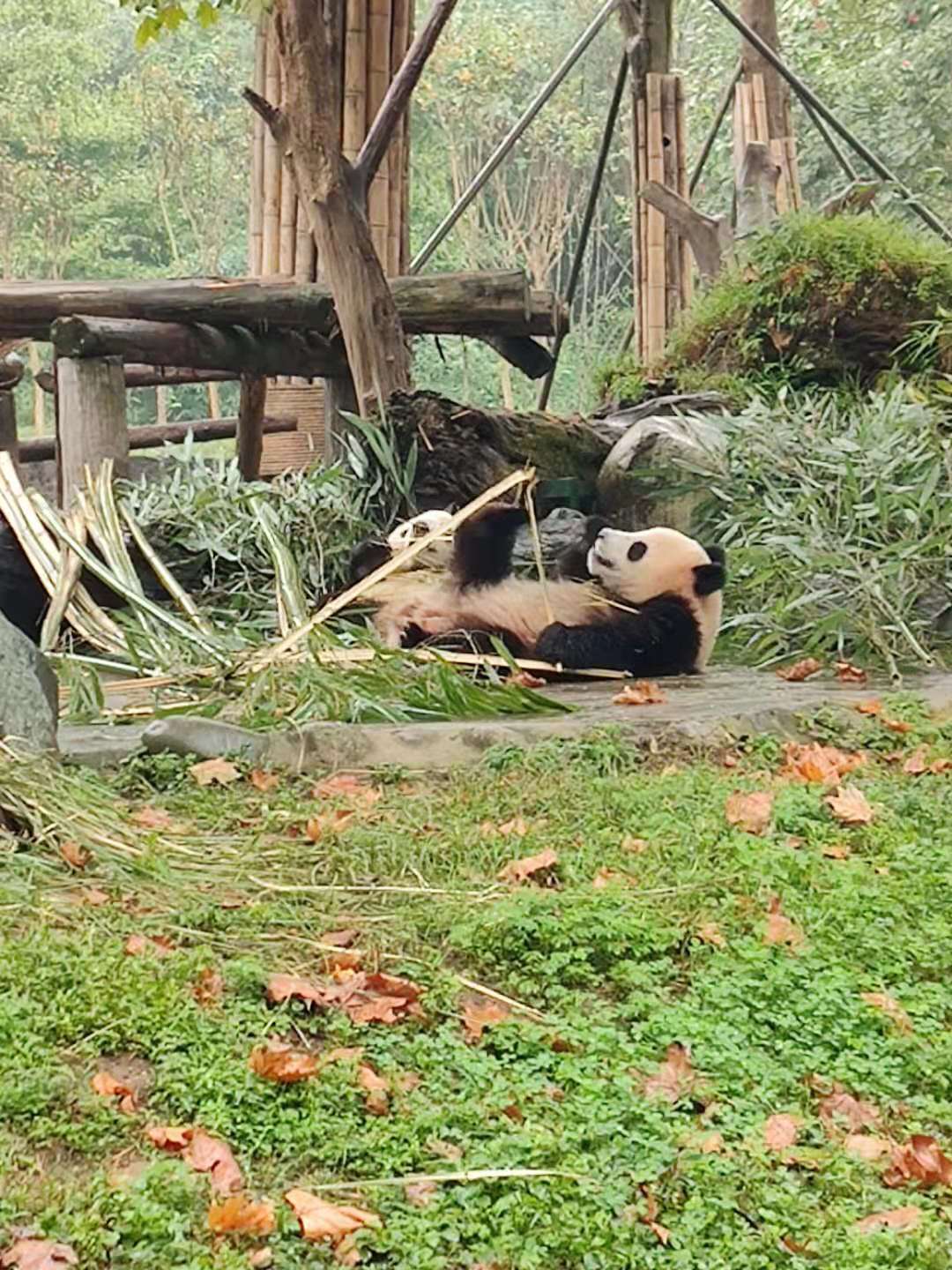 滨州康辉旅行社,滨州到西安旅游团康辉