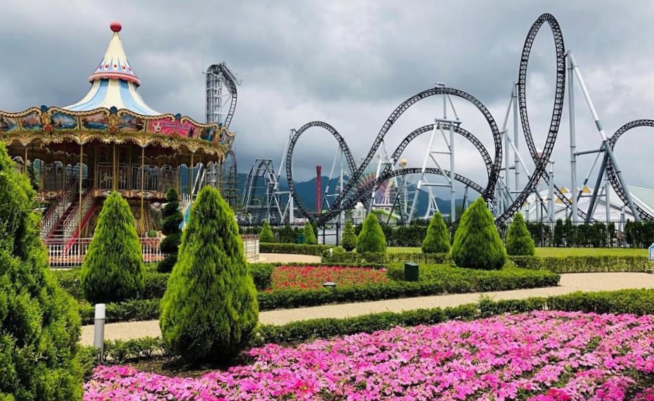 日本四季樱花富士山,日本樱花包