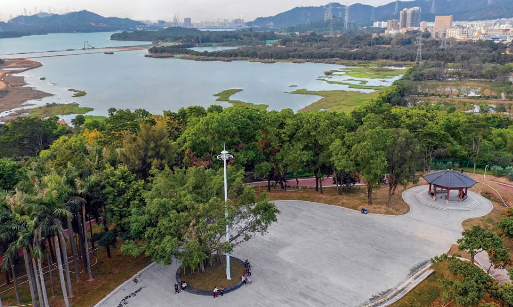 深圳市最新步道,深圳十佳绿道