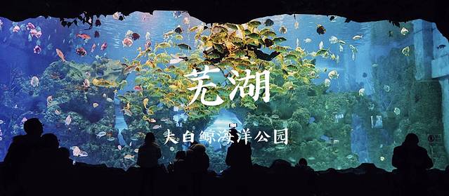 芜湖有米其林餐厅吗,芜湖米其林餐厅