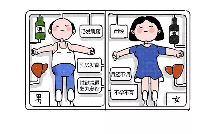 一个人每天喝多少酒不会伤肝,每天喝点小酒是养生还是伤肝