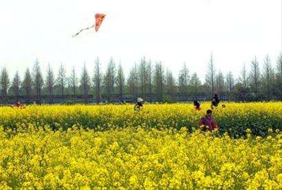 黄汉亮|闲话崇明这些借助空气的玩具