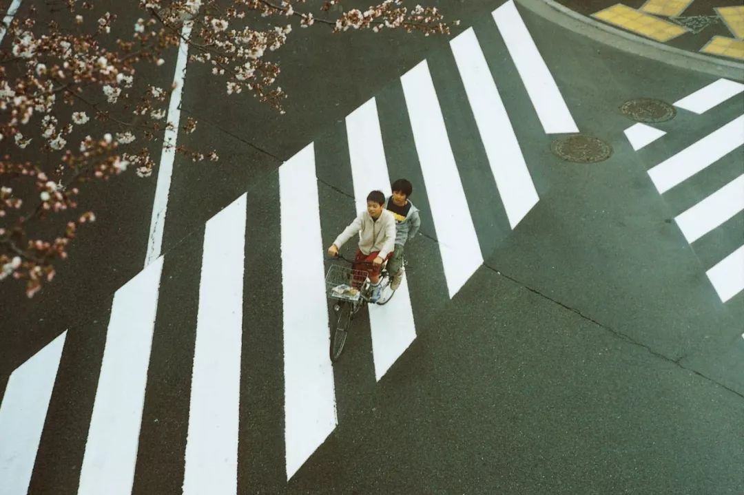 2000-2019，20年20部，最不该缺课的电影,上