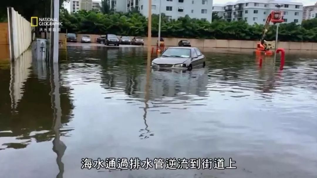 起初没有人在意这场灾难，直到这灾难和每个人息息相关