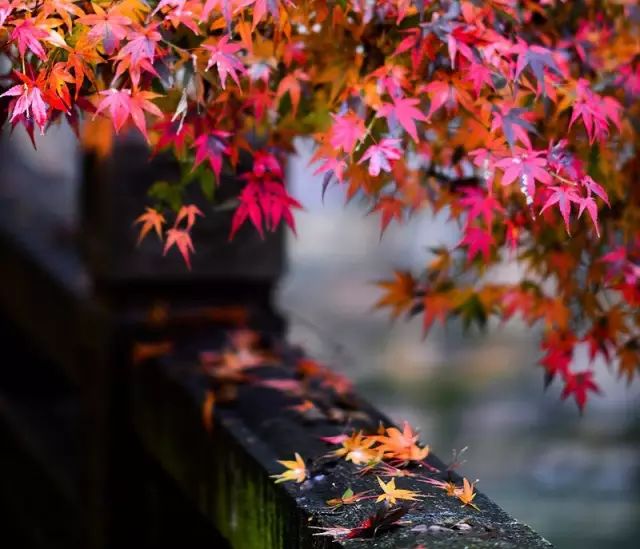 教科书式自我隔离,自我隔离要多少天