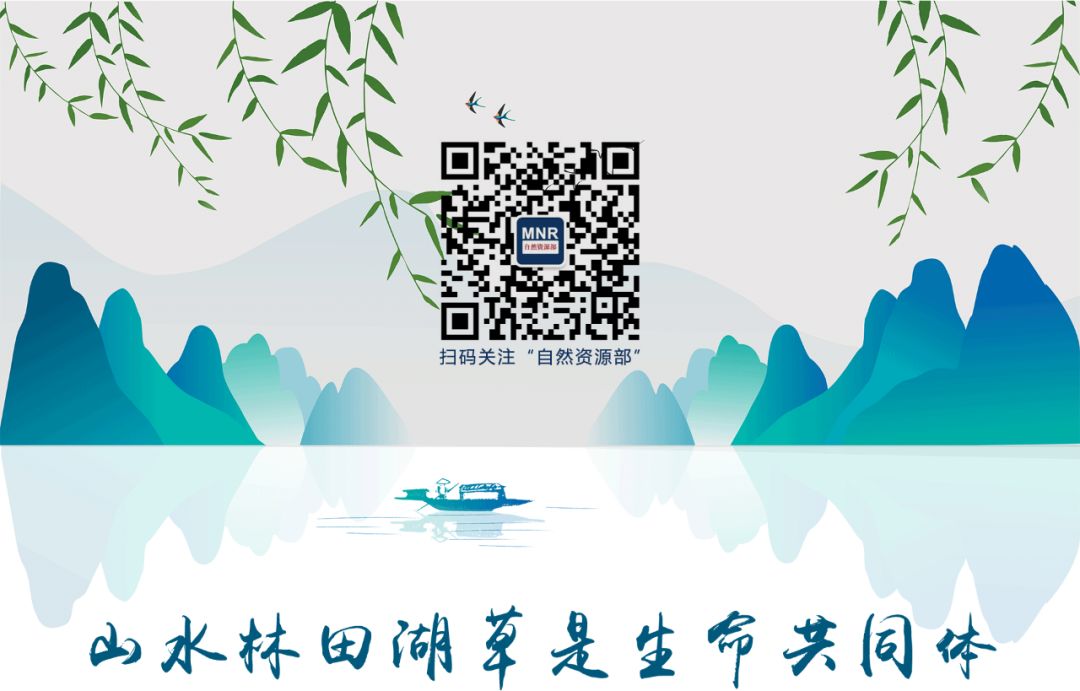 2020年第三季度违法用海用岛情况发布，未发现大规模违法填海现象