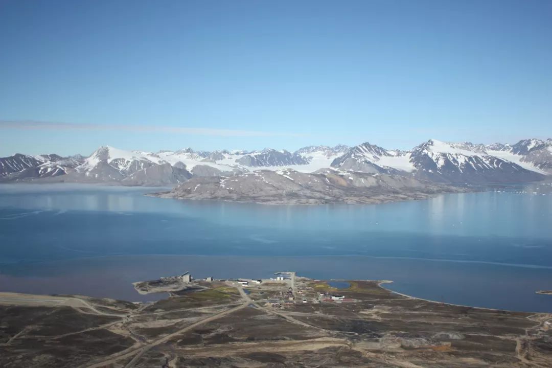 北极和南极相比哪个冷,北极和南极相比有什么特点