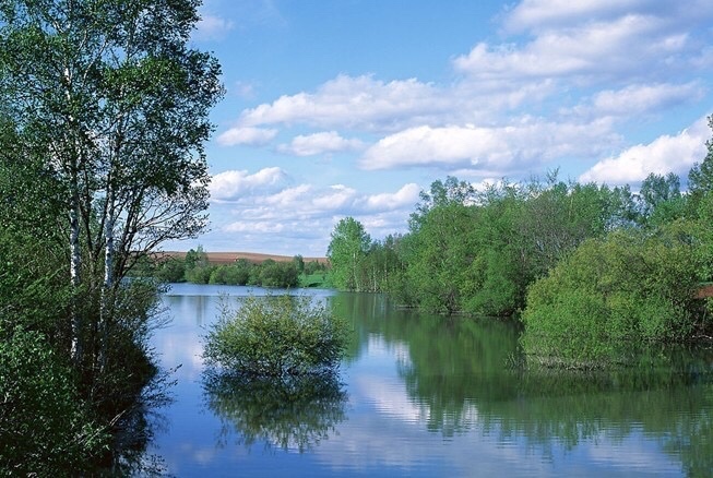 晚春钓鱼秘诀大全,早春钓鱼四字口诀