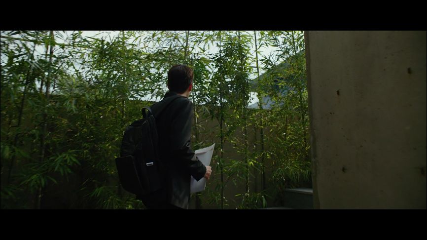 引进可以，跪求少删减…