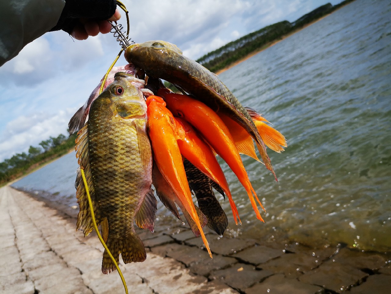 路亚一步到位还是循序渐进好,摸索反思