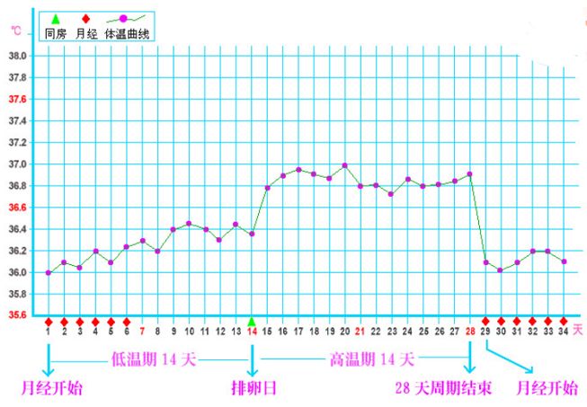备孕去医院检测排卵,备孕促排卵流程