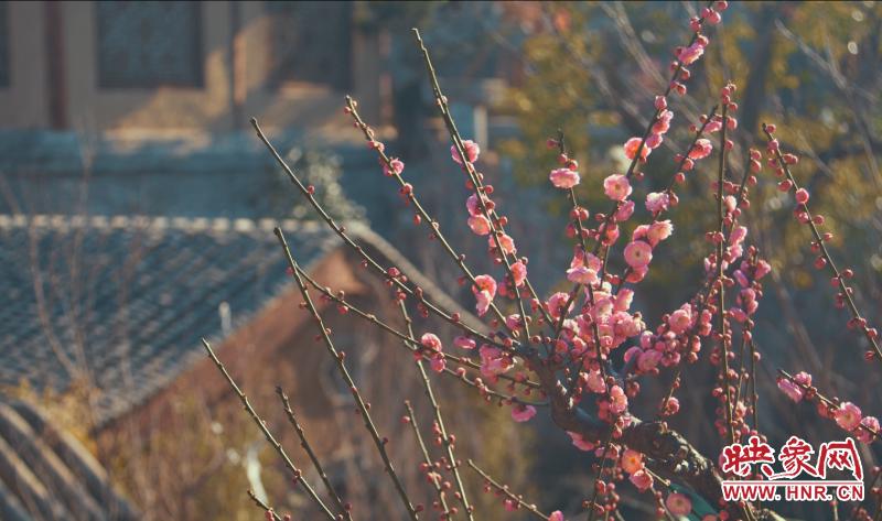 郑州樱桃沟附近景区,郑州樱桃沟旅游景点