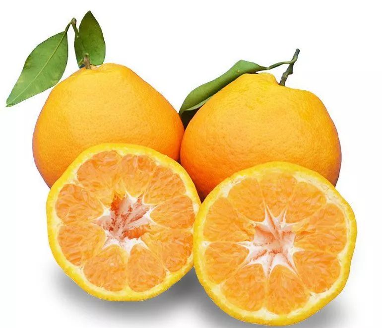 买菜难电商平台最后一公里,买菜难