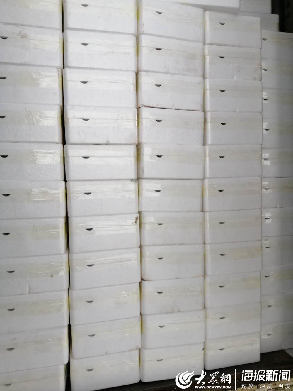 梨滞销的新闻稿件,滞销的梨