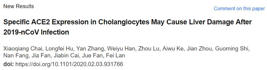 新型冠状病毒感染与心血管损伤,我国科学家发现乙肝新感染机制