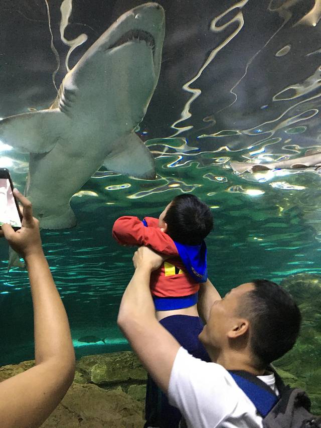 澳大利亚大洋路两日游,自由行墨尔本及悉尼