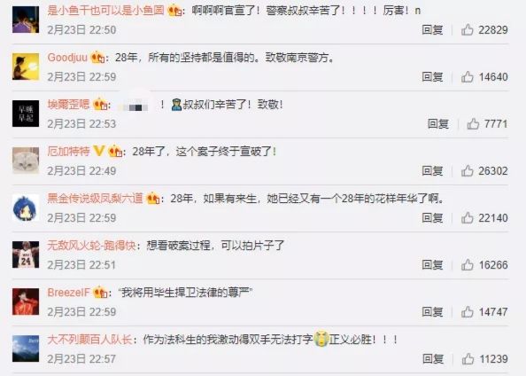 28年前南医大女生被杀案告破视频,28年前南医大女生被杀案告破