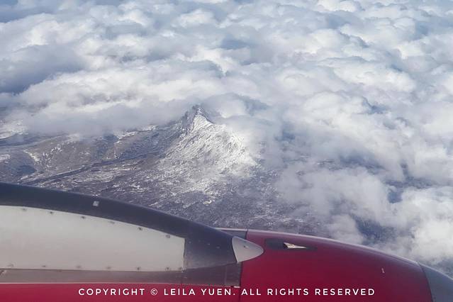 现在去日本买口罩,去日本买口罩日购