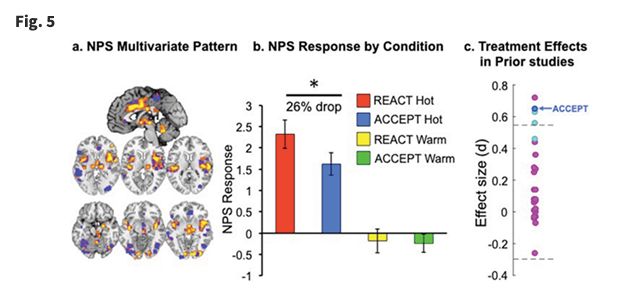 女性对容易上钩的男人没兴趣，以及，Netflix出了一档劲爆的婚恋综艺|WEEKLY