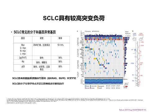 阿替利珠单抗最新报告,阿替利珠单抗sclc