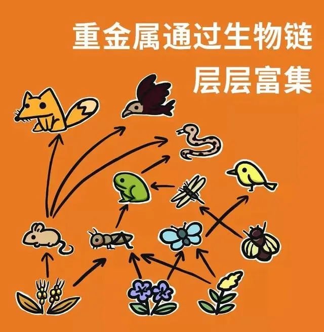 到底什么算是“野味”？