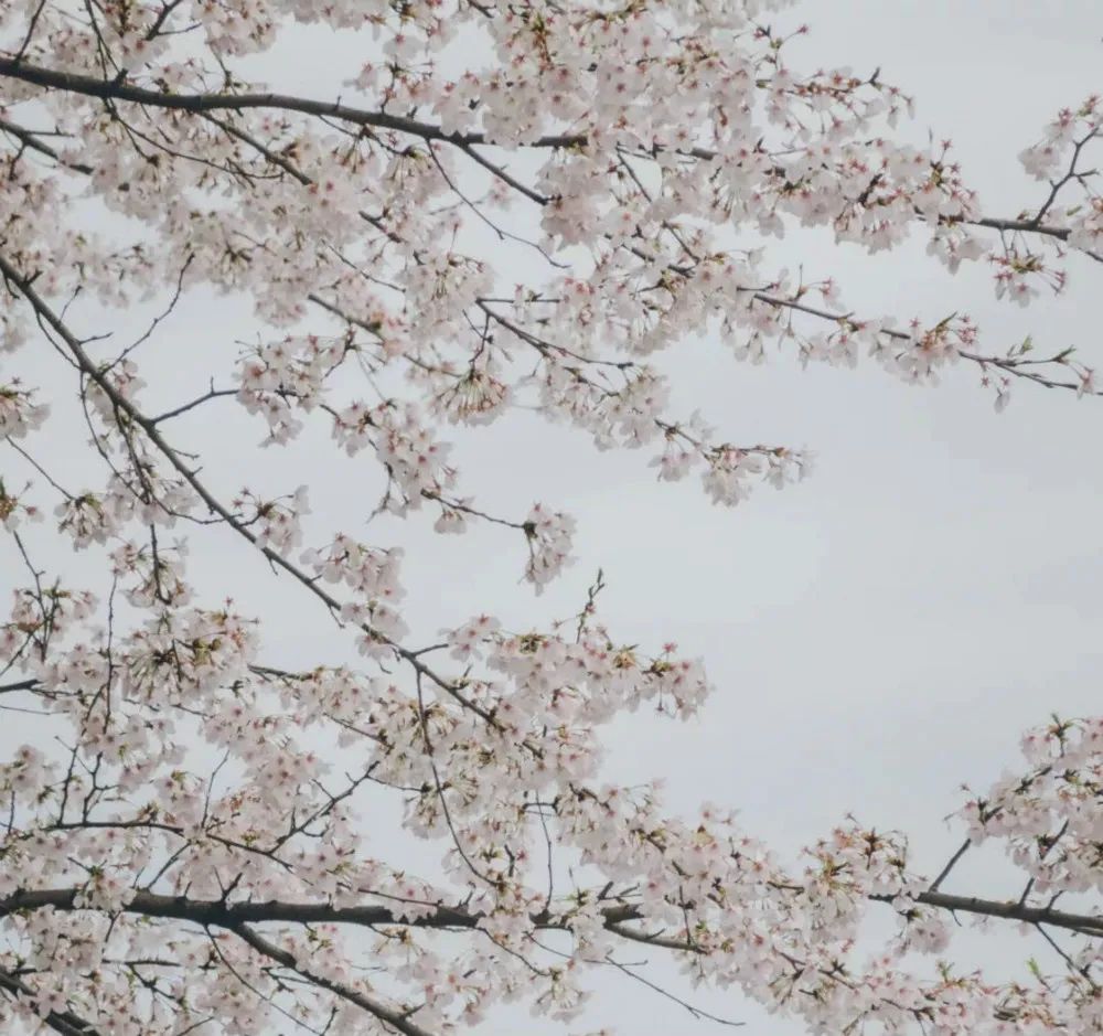 春节民宿促销活动,莫干民宿团购