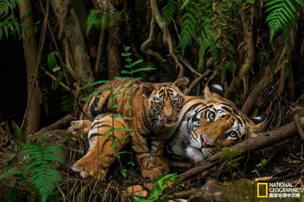 记住它们现在的模样,记住这些永不过期的食品