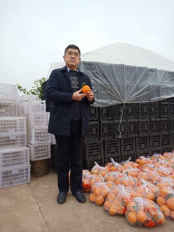 三个关键词看四川各地“八仙过海”战疫助贫