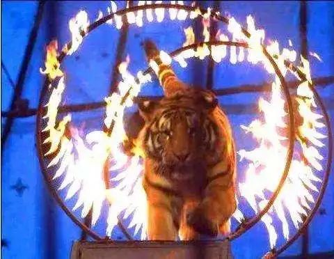 养殖户的权益谁来保障,养殖户法律保护