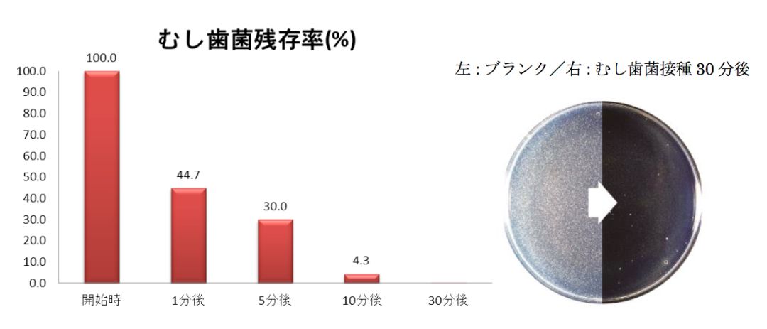 酸奶味漱口水,乳酸菌漱口水会导致蛀牙吗