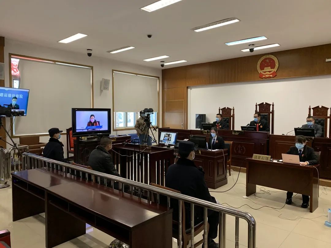 最新全国法院庭审直播,野生斑鸠案最新消息