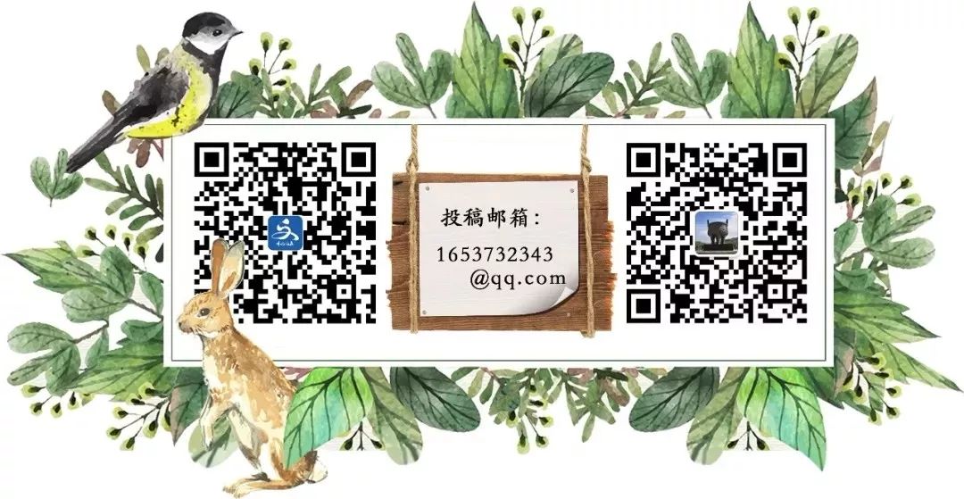 最美逆行者福建,福建最美逆行者