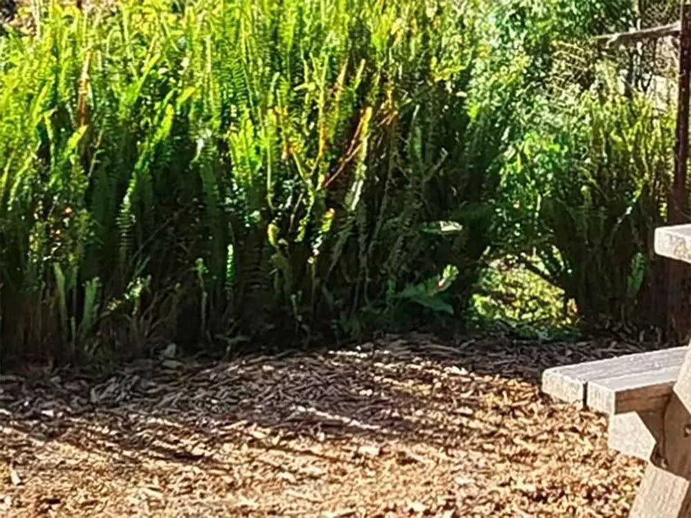 三星s20ultra相机清晰度,三星s20ultra影像