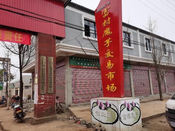 全国最大魔芋市场,富源富村魔芋