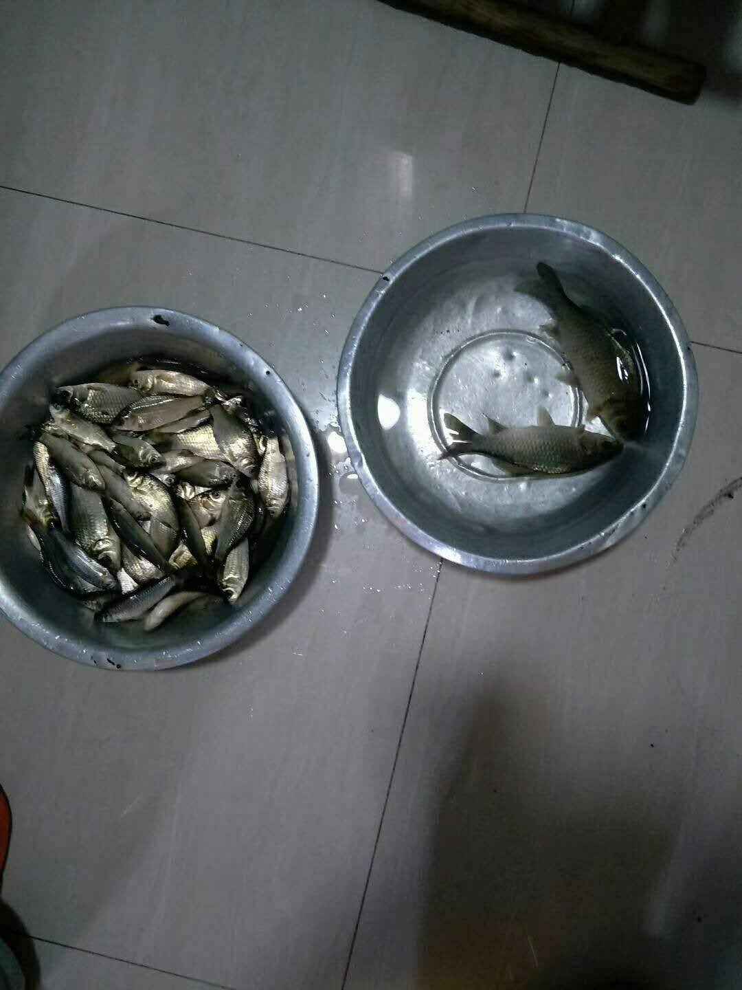 女神节最强防护挑战赛,女神节之战精彩片段