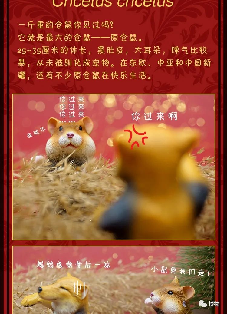 祝老板新年发财的祝福词,最真挚的祝福就是恭喜发财