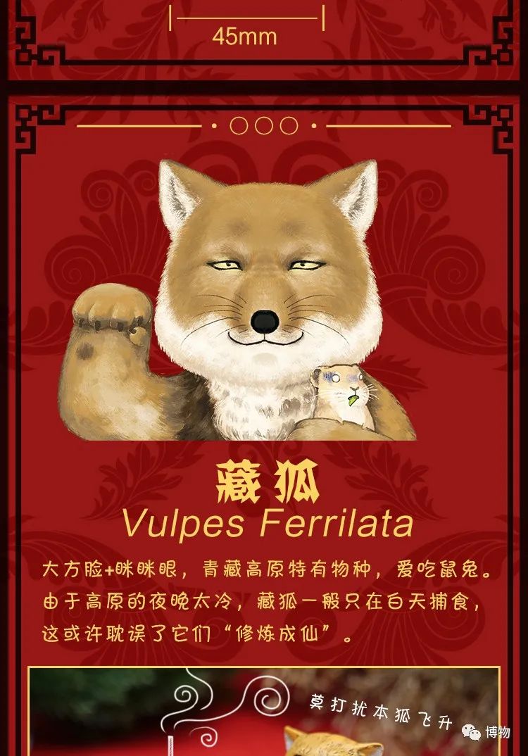 祝老板新年发财的祝福词,最真挚的祝福就是恭喜发财